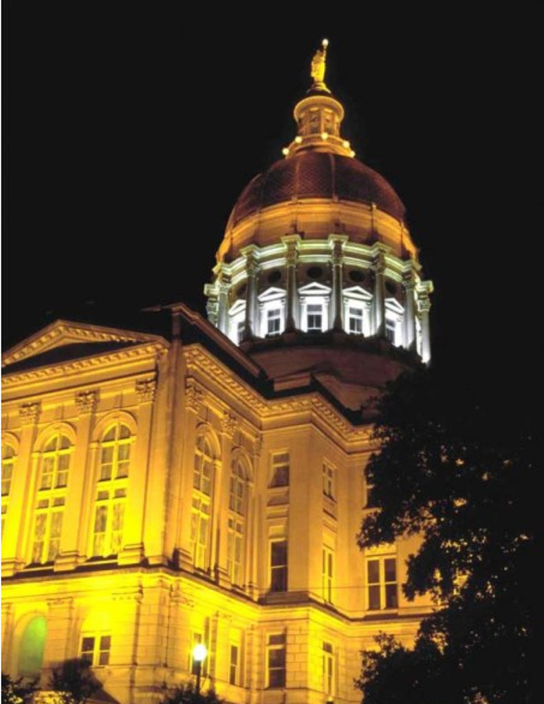 2019 Georgia Session Laws Hardbound