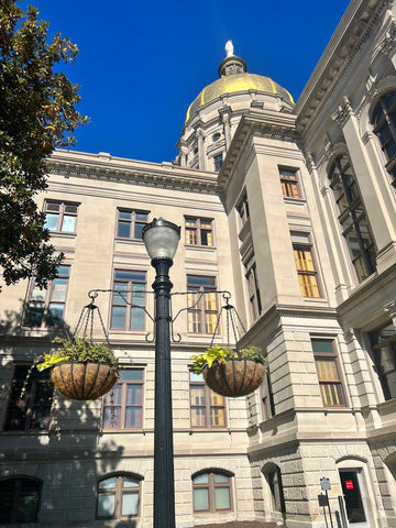 2022 Georgia Senate Journal CD