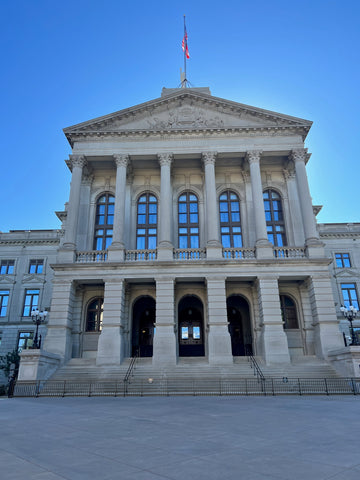 2022 Georgia Senate Journal CD