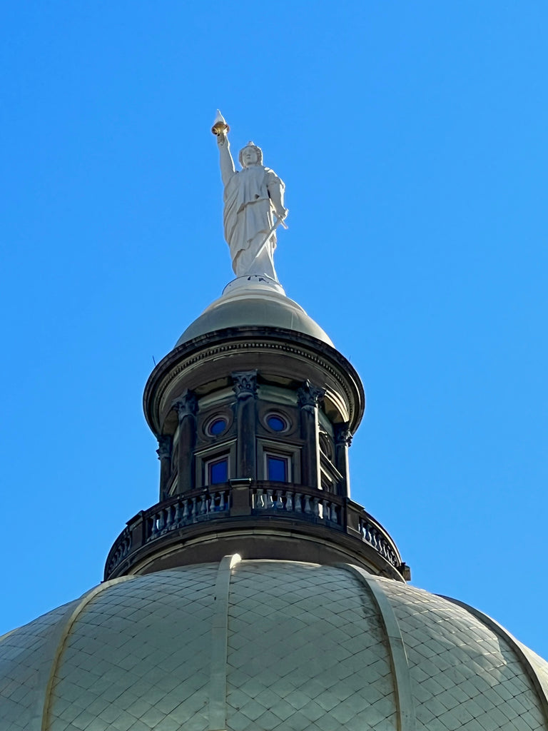 2022 Georgia Senate Journal CD