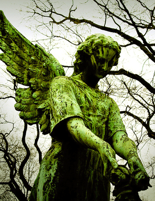 Cemetery- Cemetery Merchandise Dealer License Roster