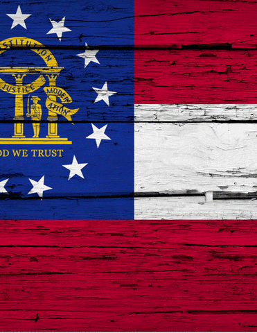 2022 Georgia Senate Journal CD