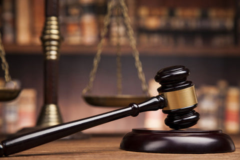 2022 Georgia Senate Journal CD