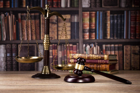 2022 Georgia Senate Journal CD