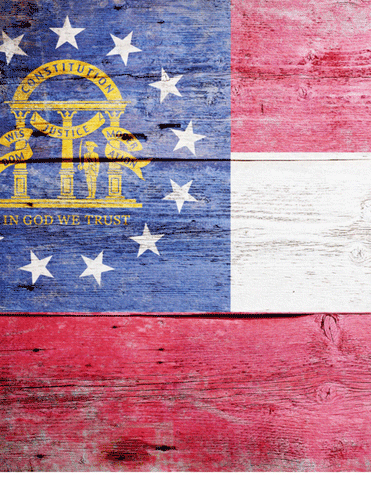 2022 Georgia Senate Journal CD