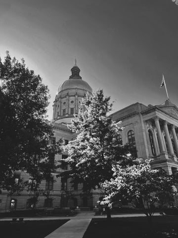 2017 Georgia Senate Journal CD