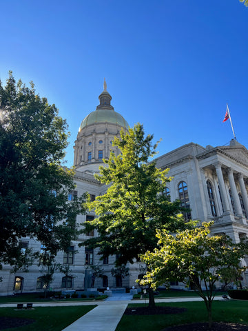 2017 Georgia Session Laws Hardbound