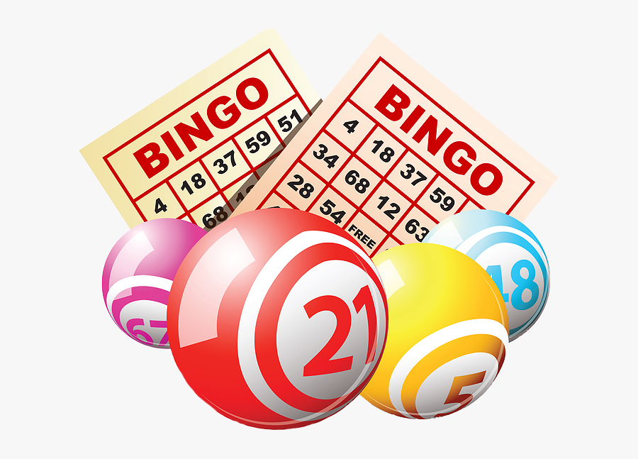 Application to Renew a Bingo License