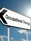 Occupational Therapist Asst. License Roster