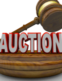 Auctioneer Non-Resident License Roster