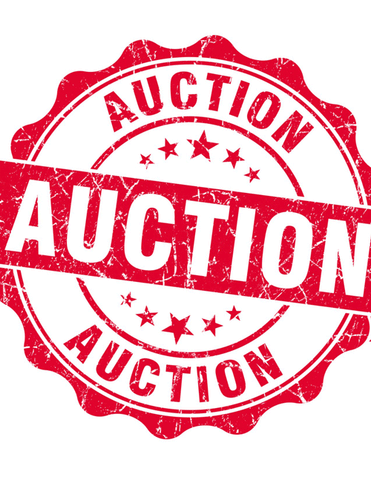Auctioneer Non-Resident License Roster